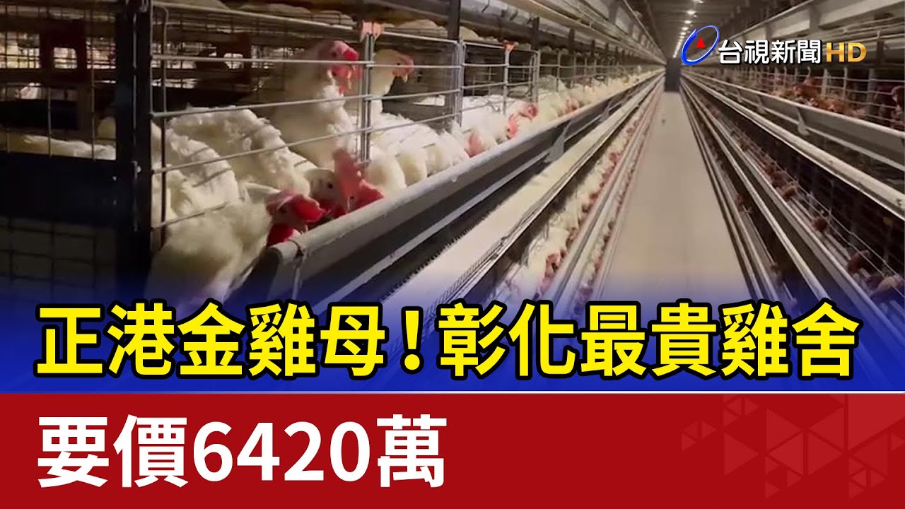 正港金雞母！彰化最貴雞舍 要價6420萬