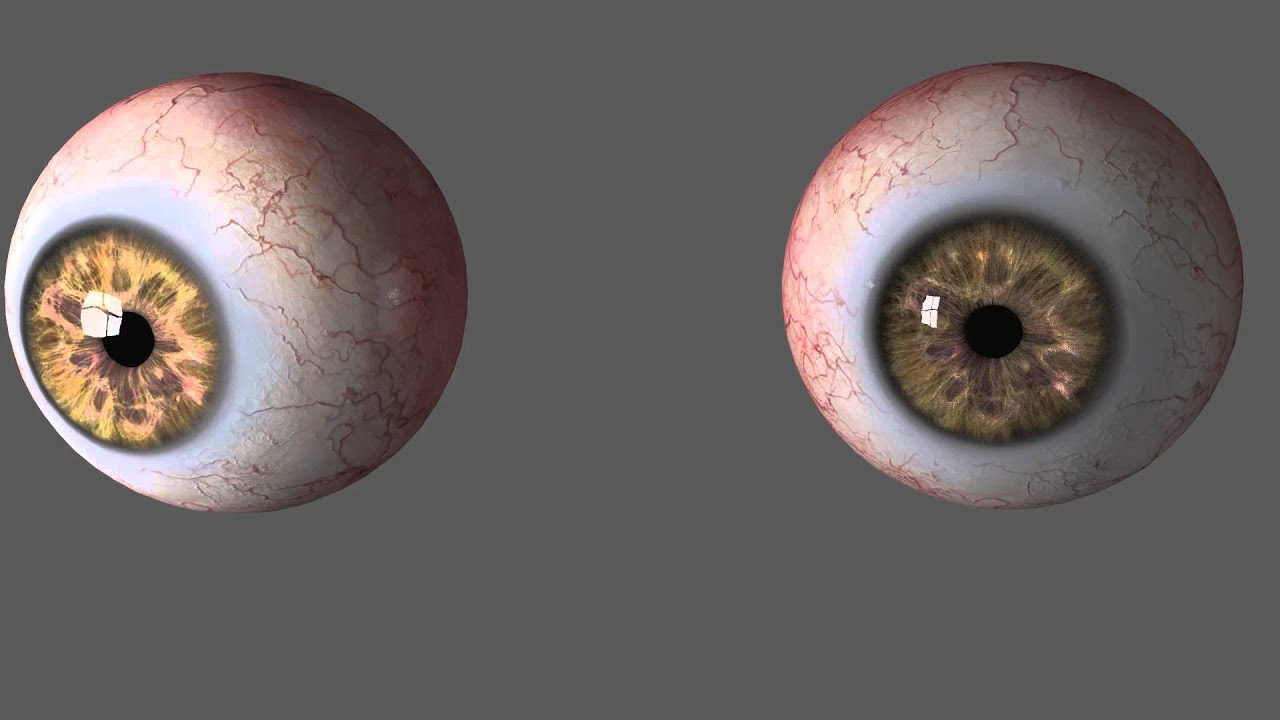 Realistic Eyes