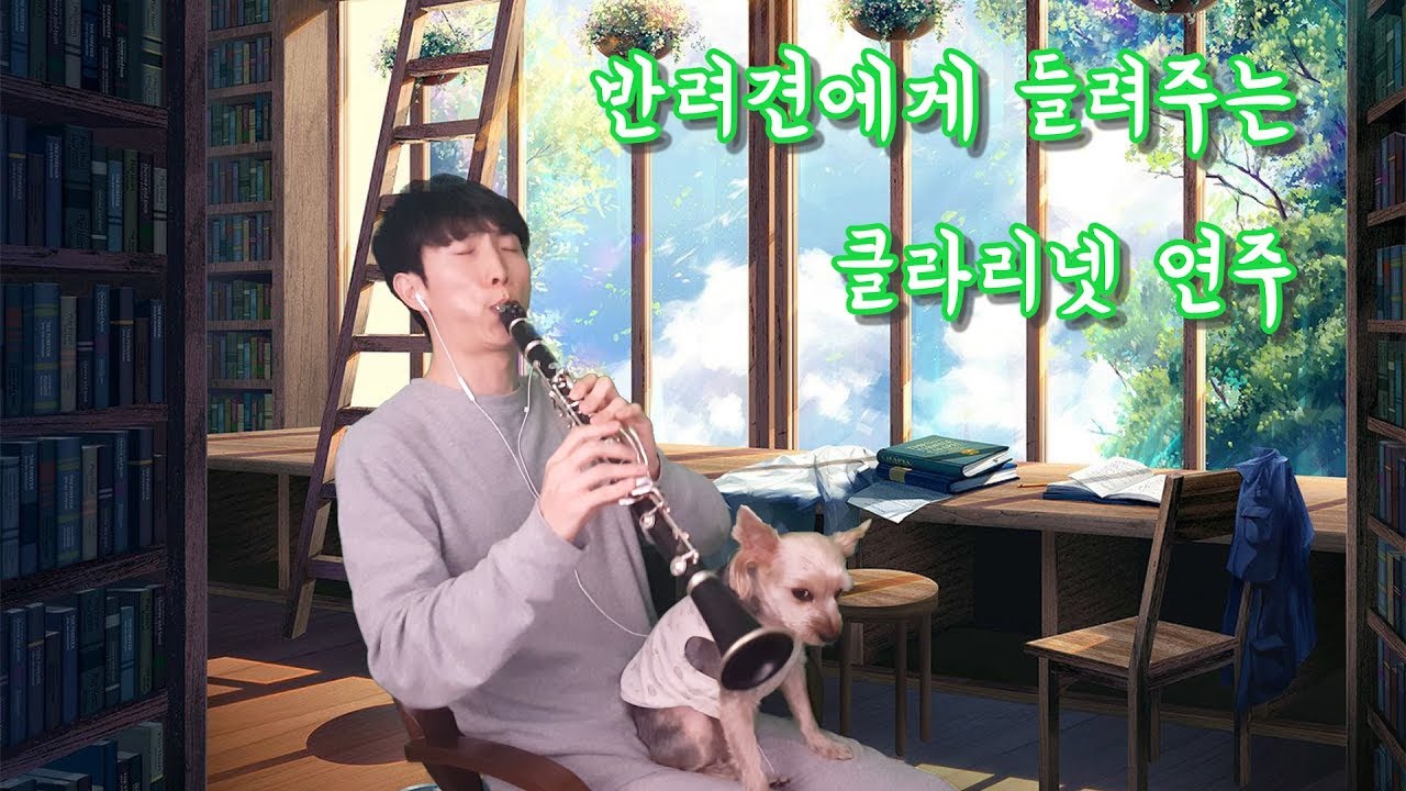 반려견에게 들려주는 음악 클라리넷 연주 ㅣ You raise me up by Westlife(With Lyrics)영한 자막 (신수호 클라리넷)