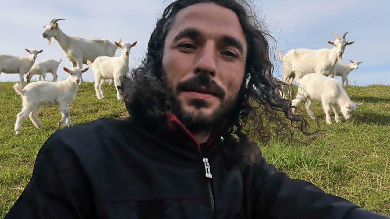Doğaya Bir Yuva Bırakmak: Kuşlar, Lodos ve 60 Oğlak