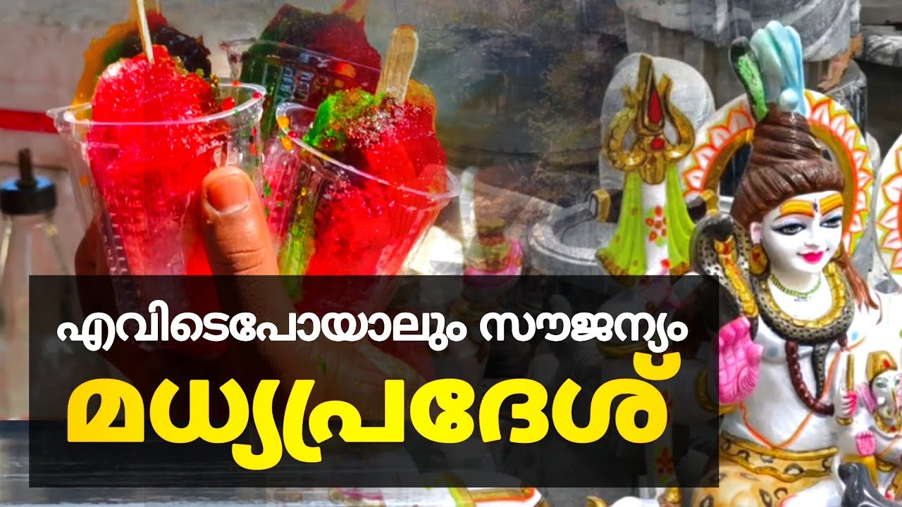 എല്ലായിടത്തും free ടിക്കറ്റ് മധ്യപ്രദേശ്..!! | north india in malayalam
