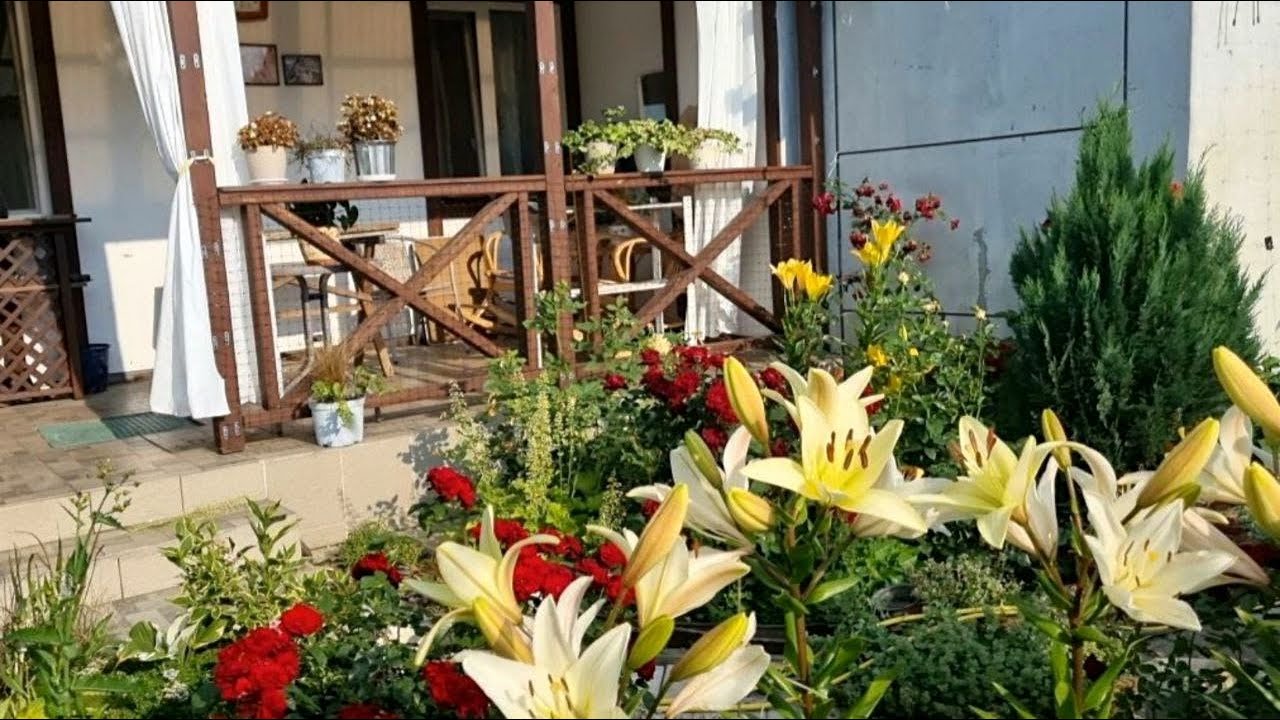 Мій садовий мікс і подарунки від Кучерявого садочку❤️💋🌻🏵️🌿
