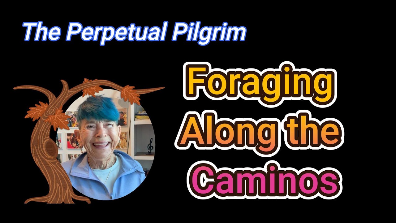 The Perpetual Pilgrim -Foraging Along the Caminos