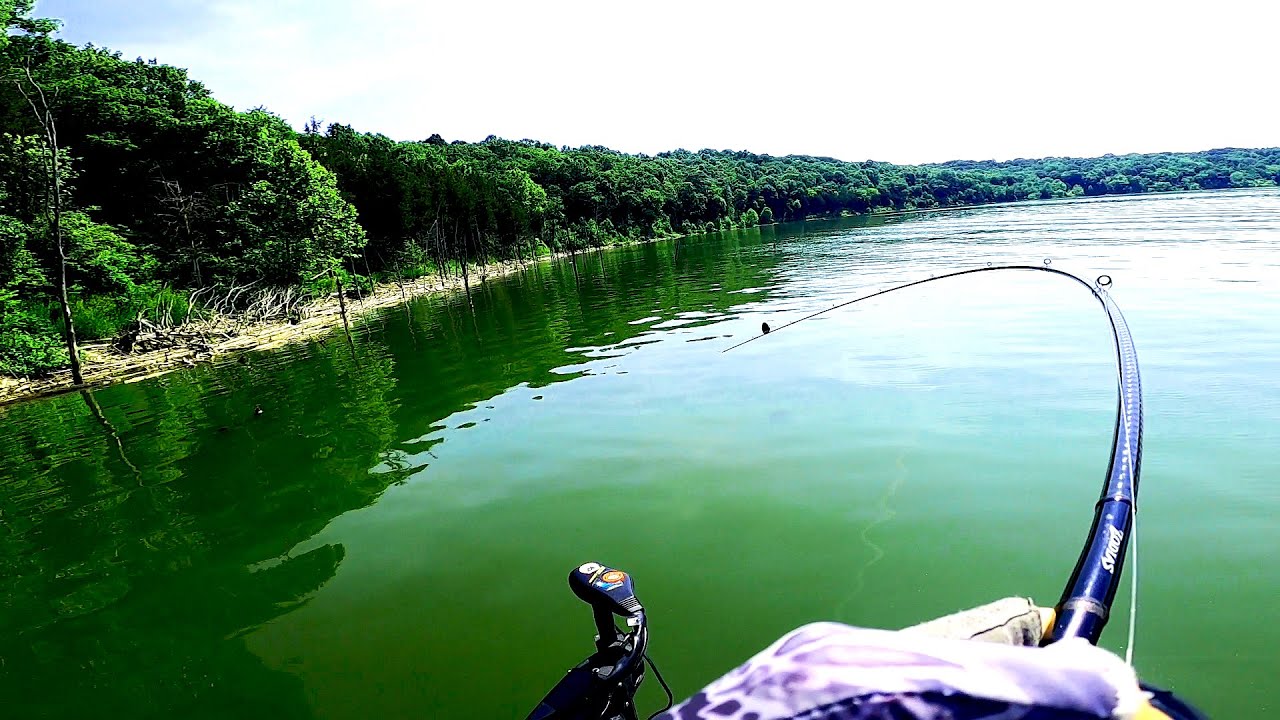 THE BEST I'VE EVER DONE HERE!!! (Taylorsville Lake Tournament #1)
