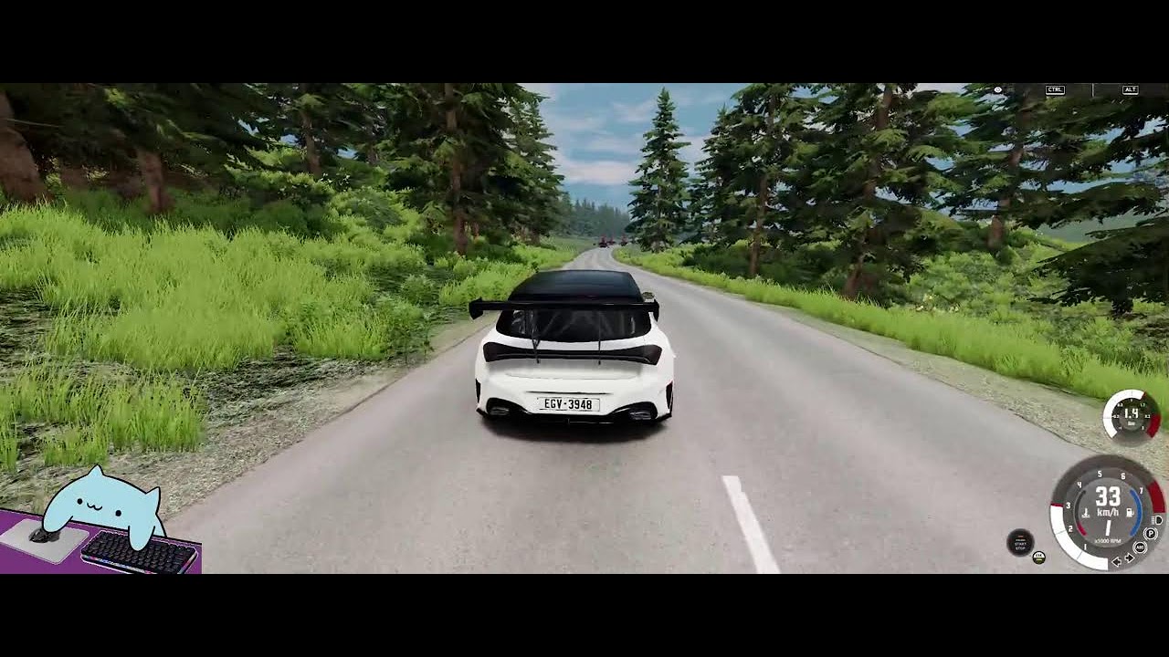 BeamNG begginer