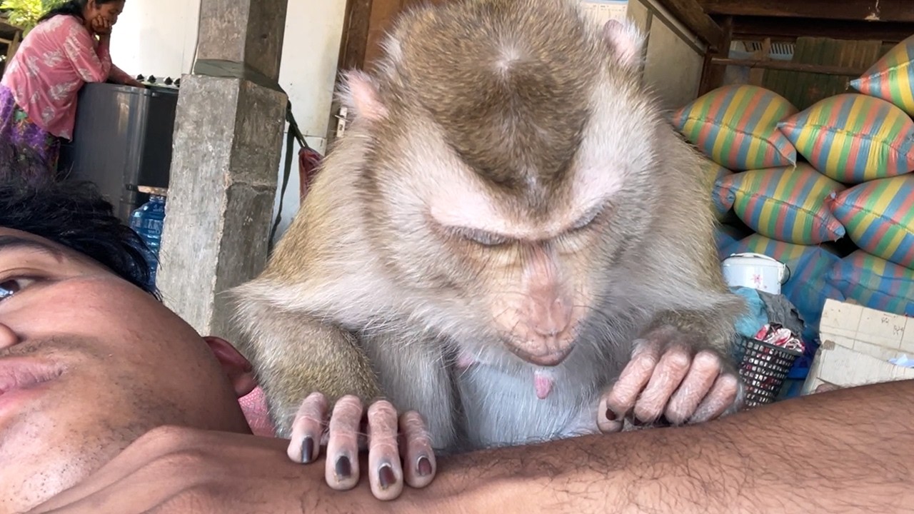Zueii Hand Spa | Monkey Provide Ultimate Relaxation With Hand Massages