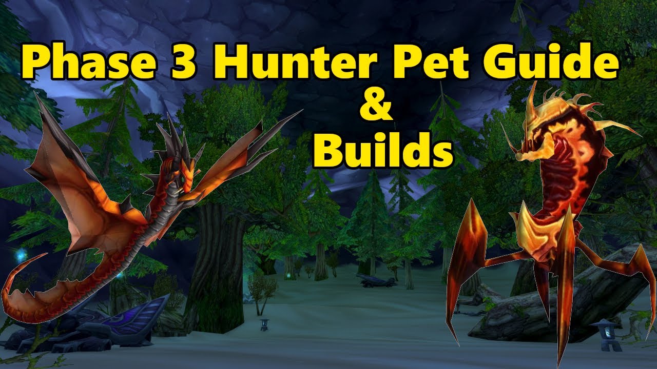 Phase 3 Hunter Pet Guide and Builds