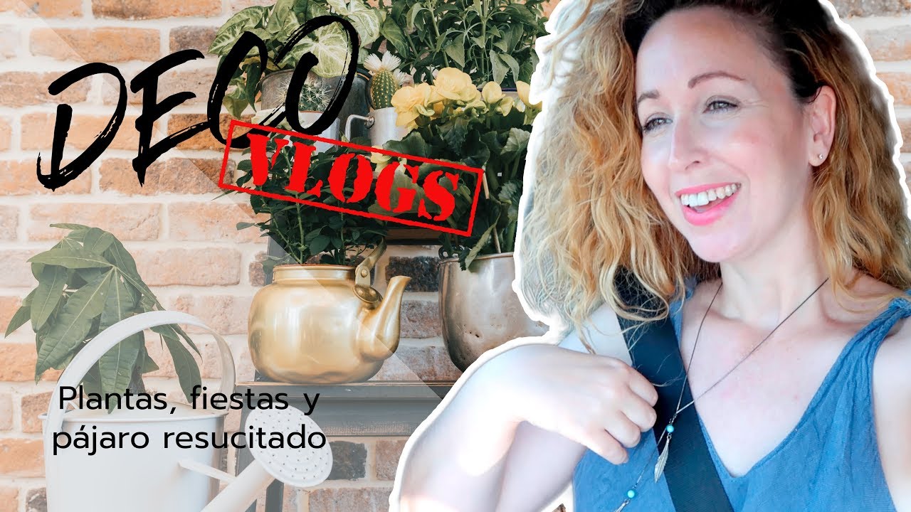 🔴 COMPRAS DECO + FIESTA AL AIRE LIBRE 🎈 + PLANTAS 🌿  l Vlog 5 l estelamaca