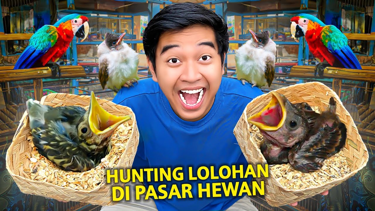 HUNTING LOLOHAN BARU NETES DI PASAR HEWAN TERBESAR BANDUNG!
