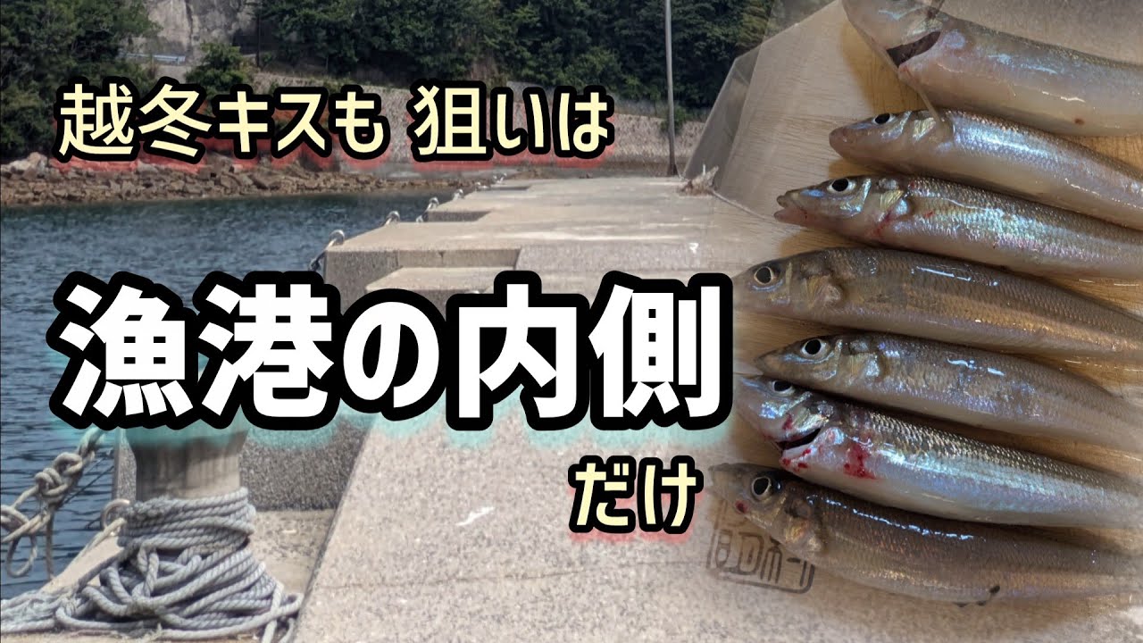 vol.153 狙いは漁港の内側だけ｜真冬の越冬キスはここにいた