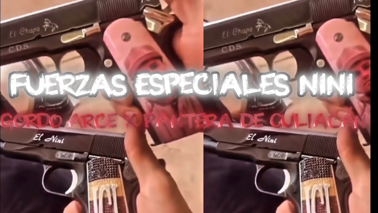 FUERZAS ESPECIALES 🍕- GORDO ARCE Ft PANTERA DE CULIACÁN 