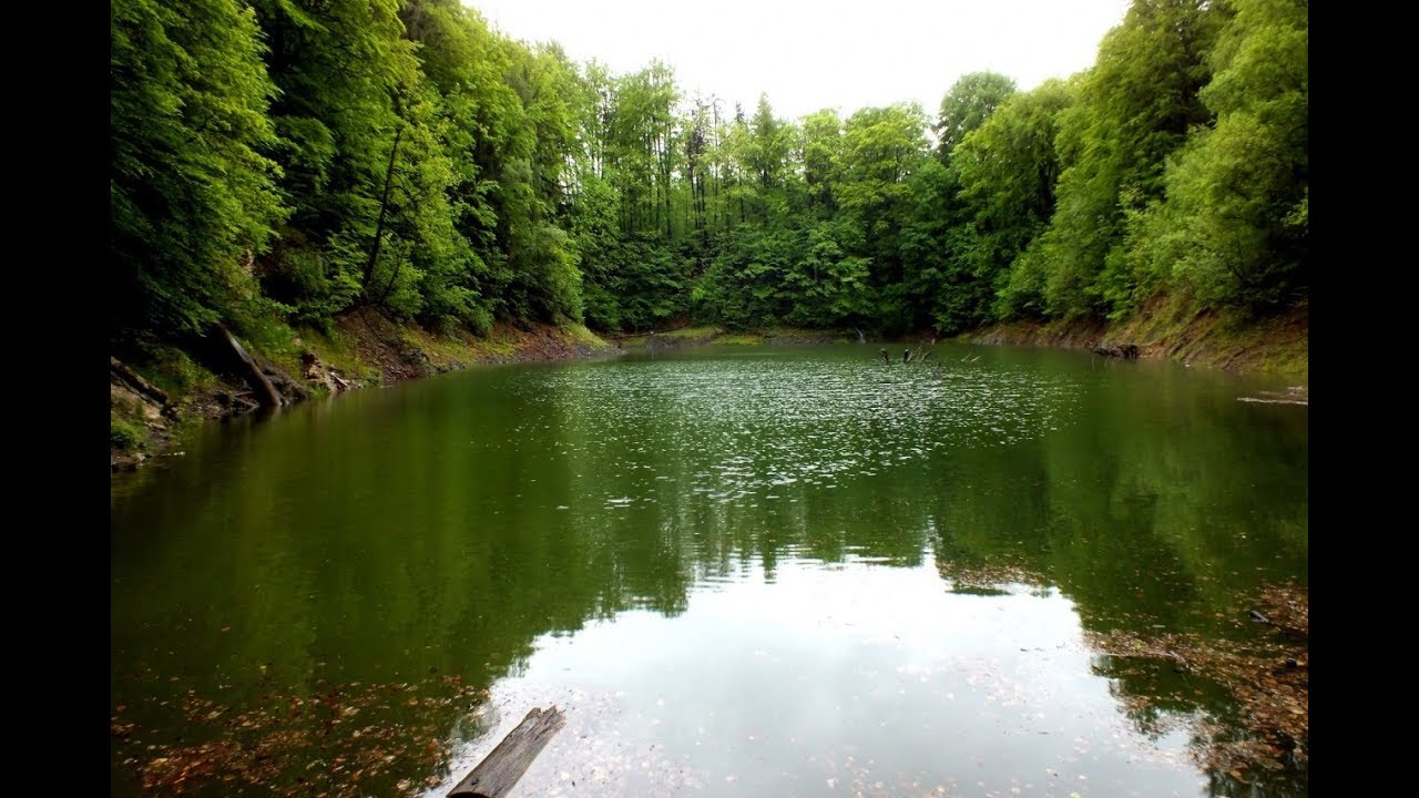 Jeziorko Daisy i taras widokowy nad Pełcznicą