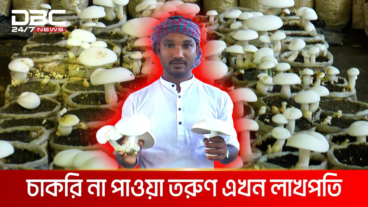 ৫ হাজার টাকার মাশরুমের ব্যবসা | DBC NEWS Special