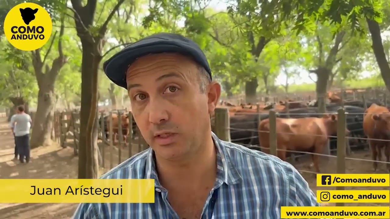 Juan Arístegui; Rte 34 Aniv de Hugo R Arístegui y Cía. Cacharí 10/3/26.