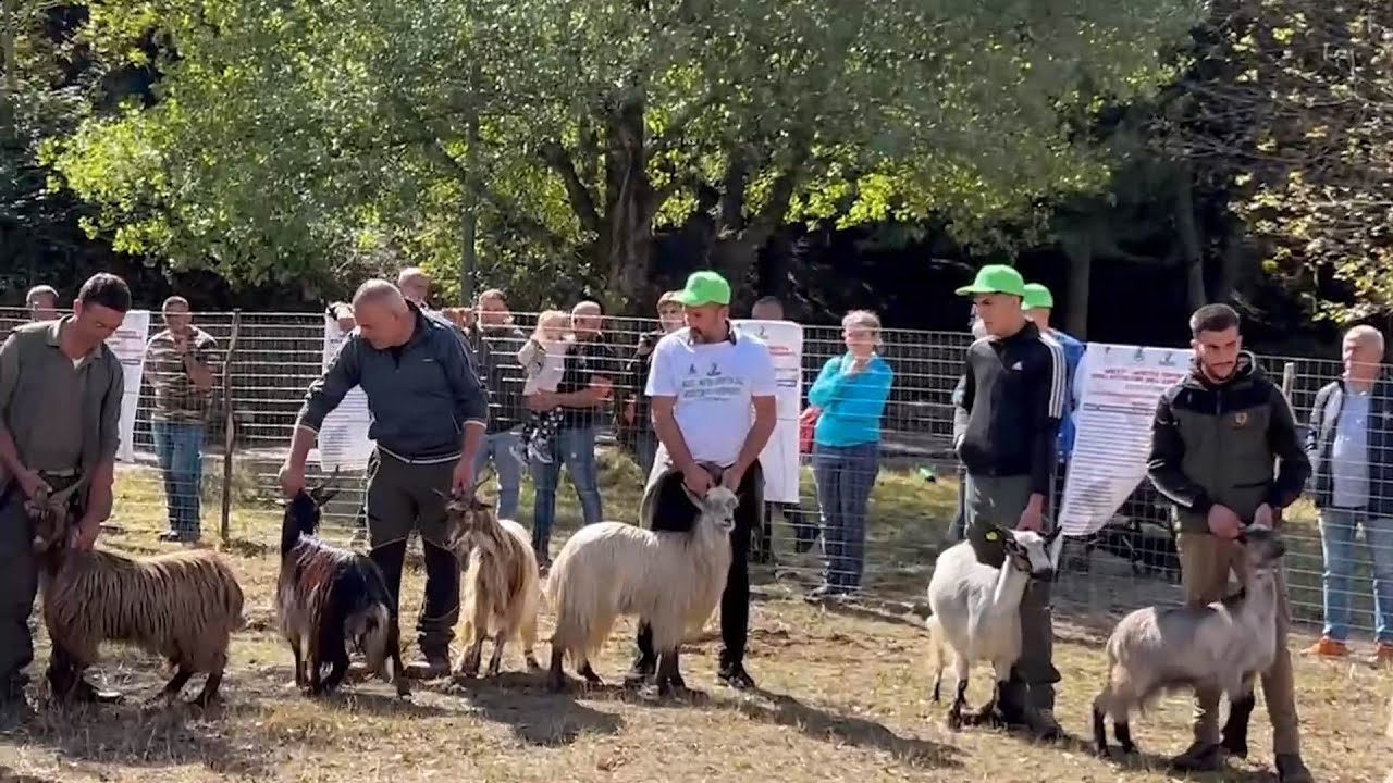Ciminà: mostra espositiva su prodotti e tratti autoctoni dell'Aspromonte