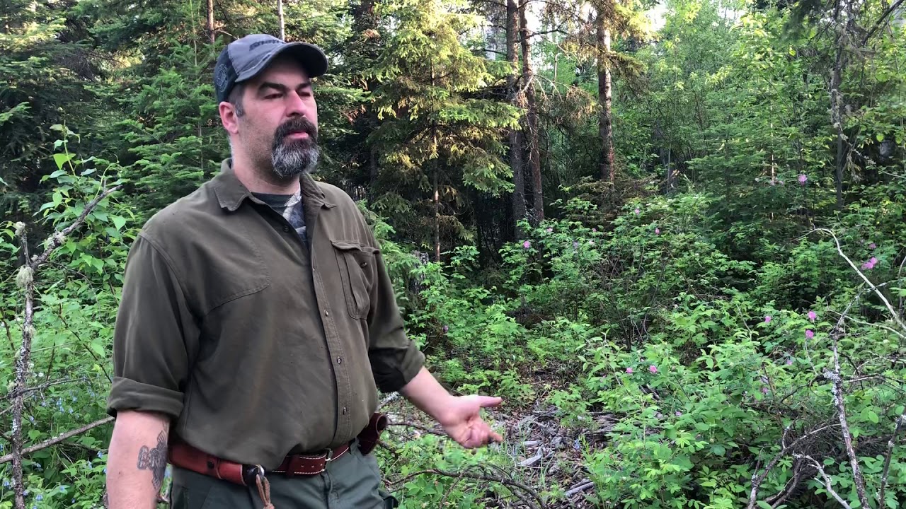 Let’s show some WC knives Northern woods man. Part 3
