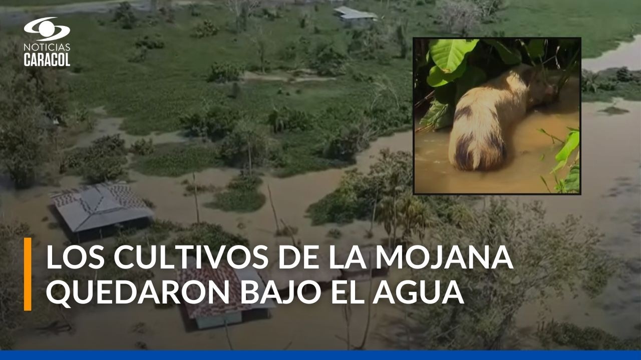 Inundaciones en La Mojana sucreña han dejado 30 mil hectáreas improductivas