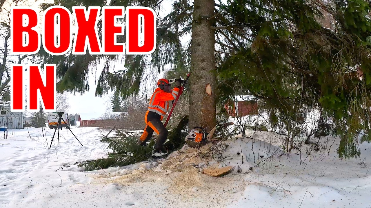 Wycinka drzew w pobliżu linii energetycznych: Spruce Precision Drop (Perfect Drop #8)