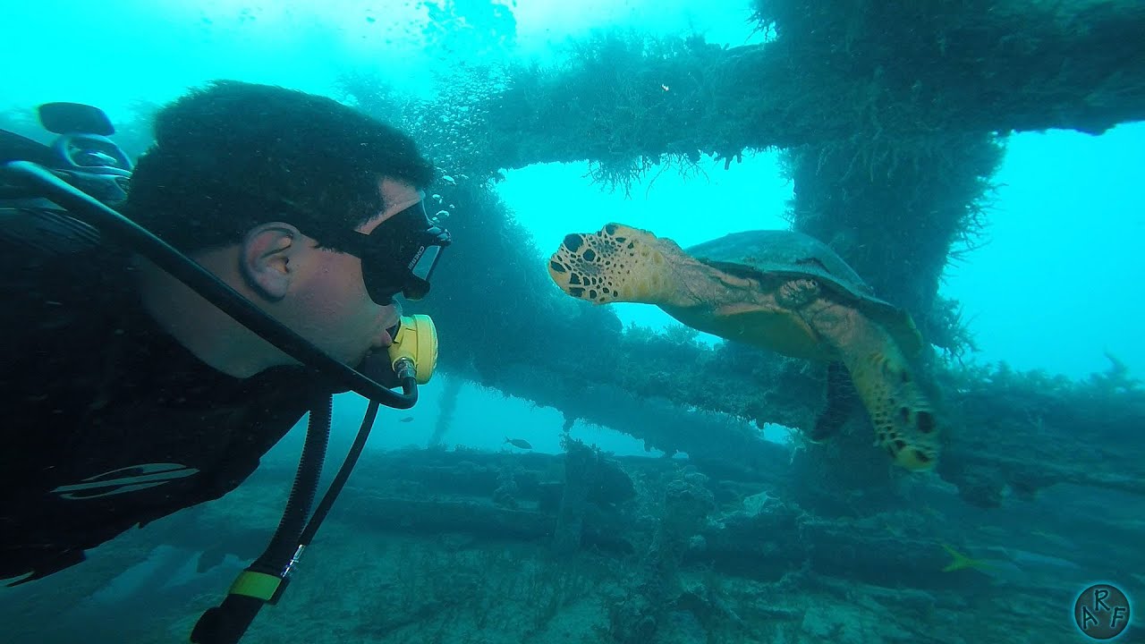 Mergulhando no  Parque Nacional Marinho dos Abrolhos