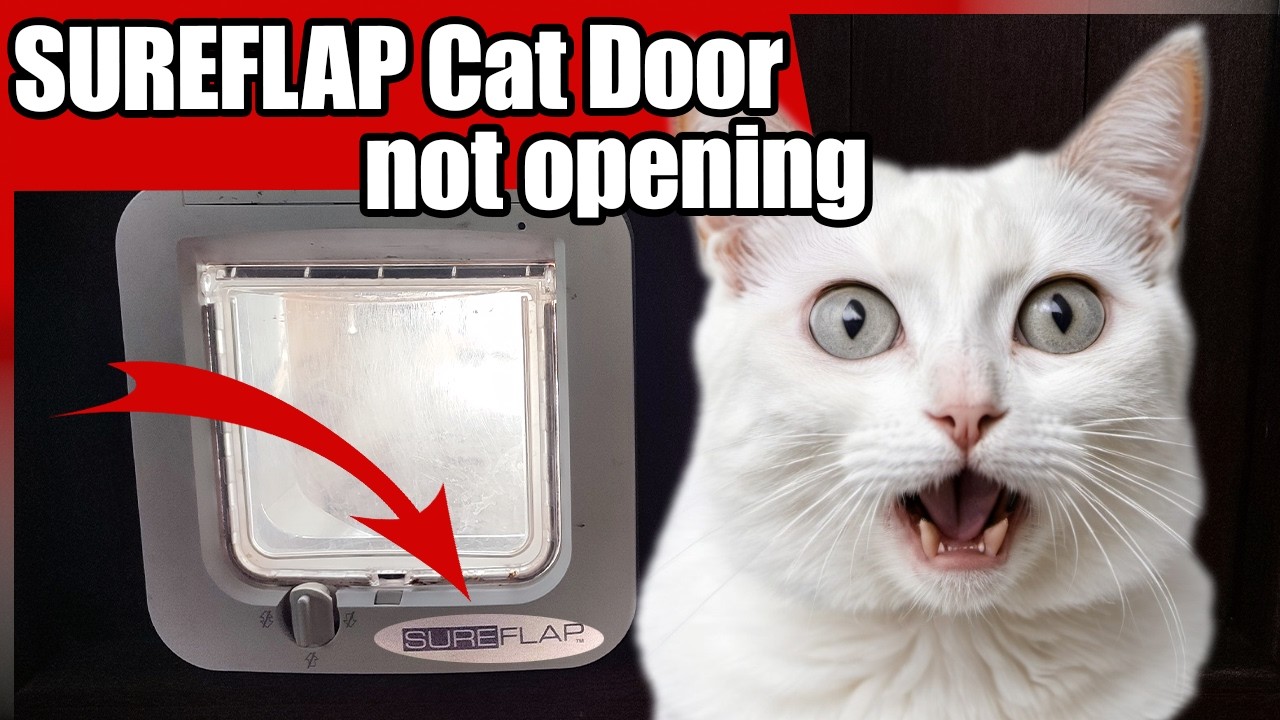 Sureflap Cat Flap Won't Open? Easy Fix!