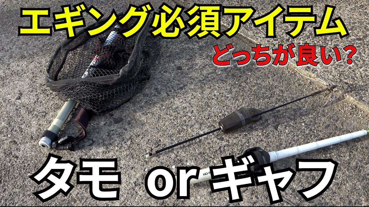 春イカ必須、タモとギャフ論争！エギングには○○が良い？メリットデメリットを熟練エギンガーが解説