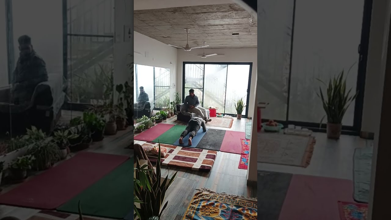 Yog Mahal Studio, Patiala | LIVE 🕉️ Yoga, Meditation | Insta @YogMahalStudio