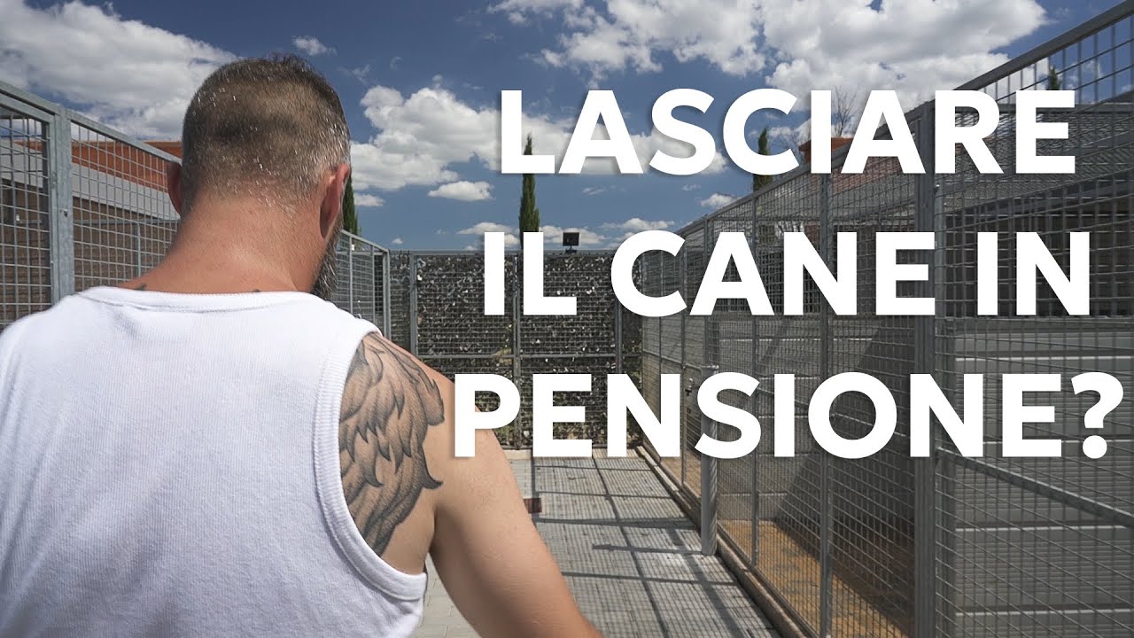 COME SCEGLIERE UNA PENSIONE CORRETTA PER IL PROPRIO CANE