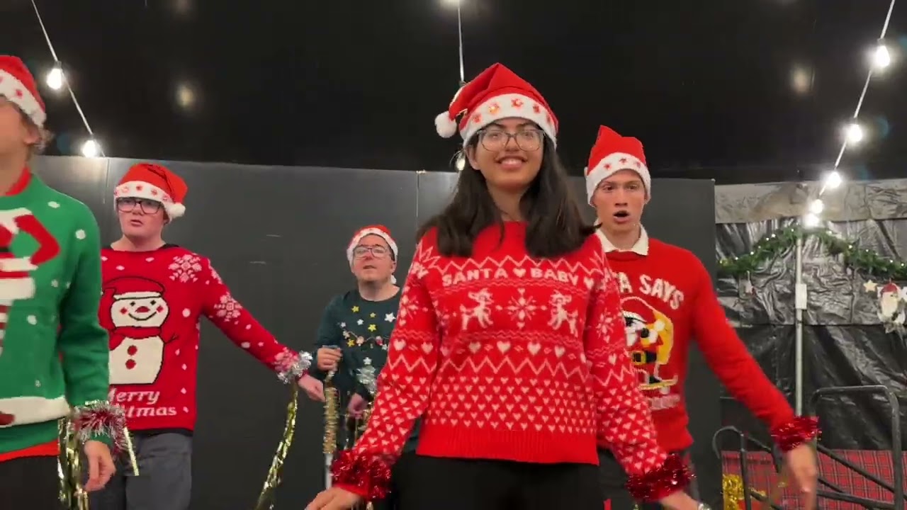 Festival de Navidad, colegio A LA PAR 2025