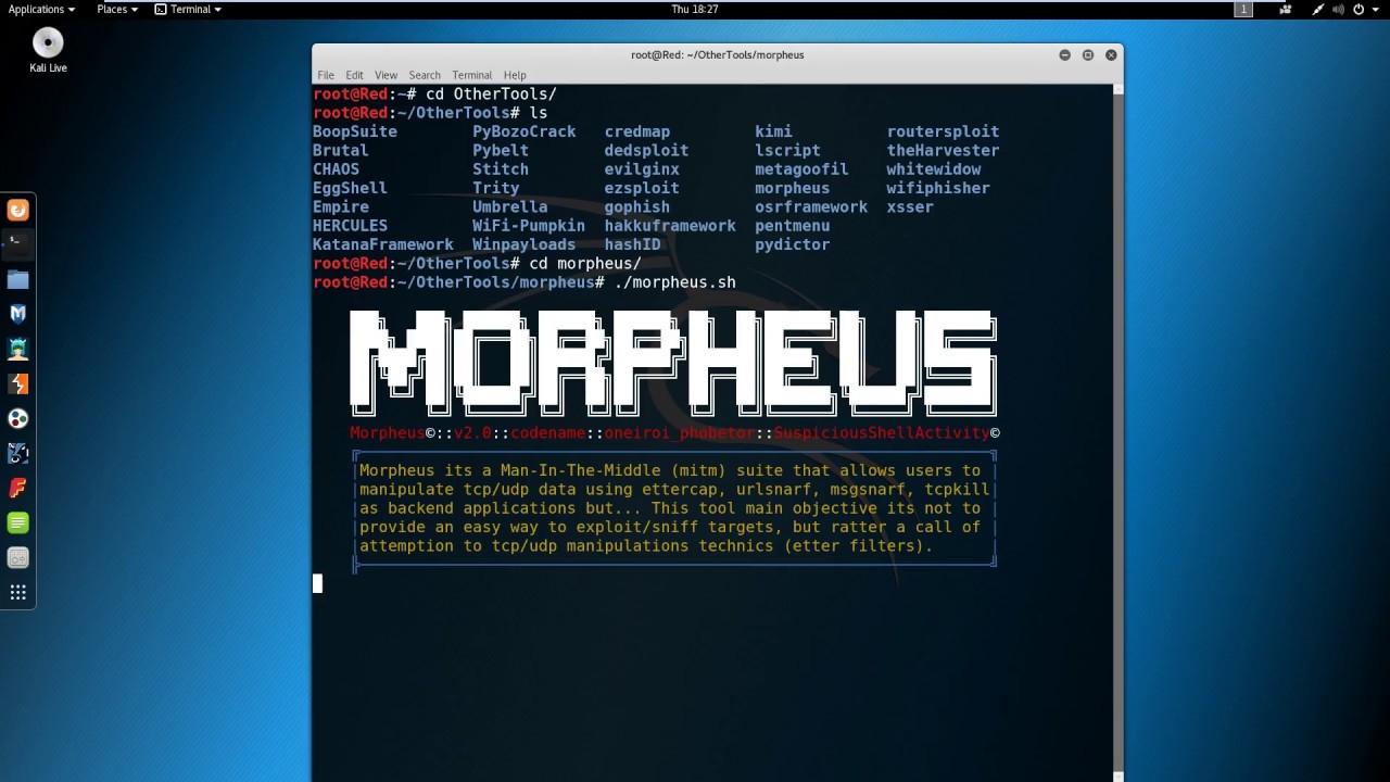Kali Linux Tutorial - Morpheus Buffer Overflow