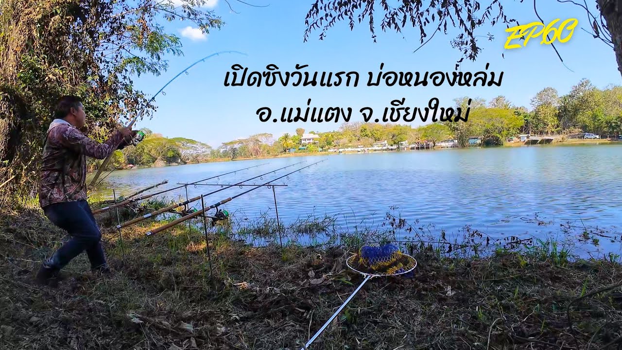 ตกปลาหน้าดิน เปิดวันแรกบ่อหนองหล่ม อ.แม่แตง จ.เชียงใหม่