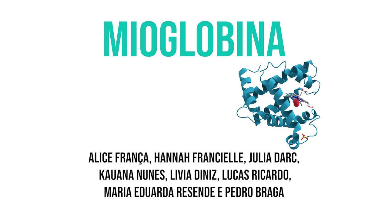 Mioglobina