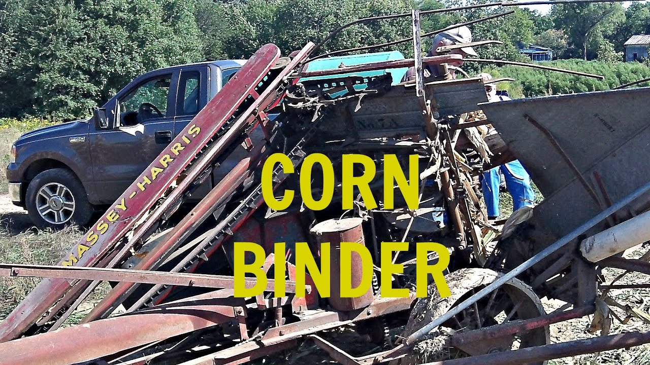 Antique Massey Harris 7A Corn Binder in Action