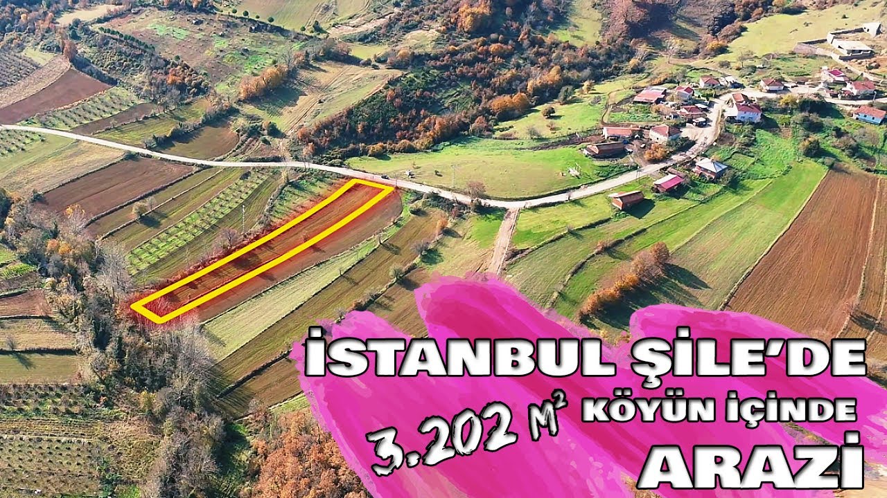 İstanbul Şile Yaka'da 3.202 m² Asfalt Yola Cephe Köy İçinde Satılık Arazi Yatırım Fırsatı (çek-097)