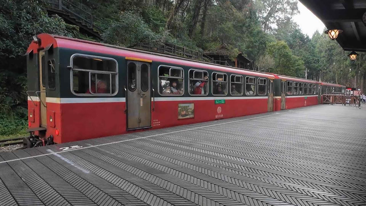Alishan National Forest Taiwan