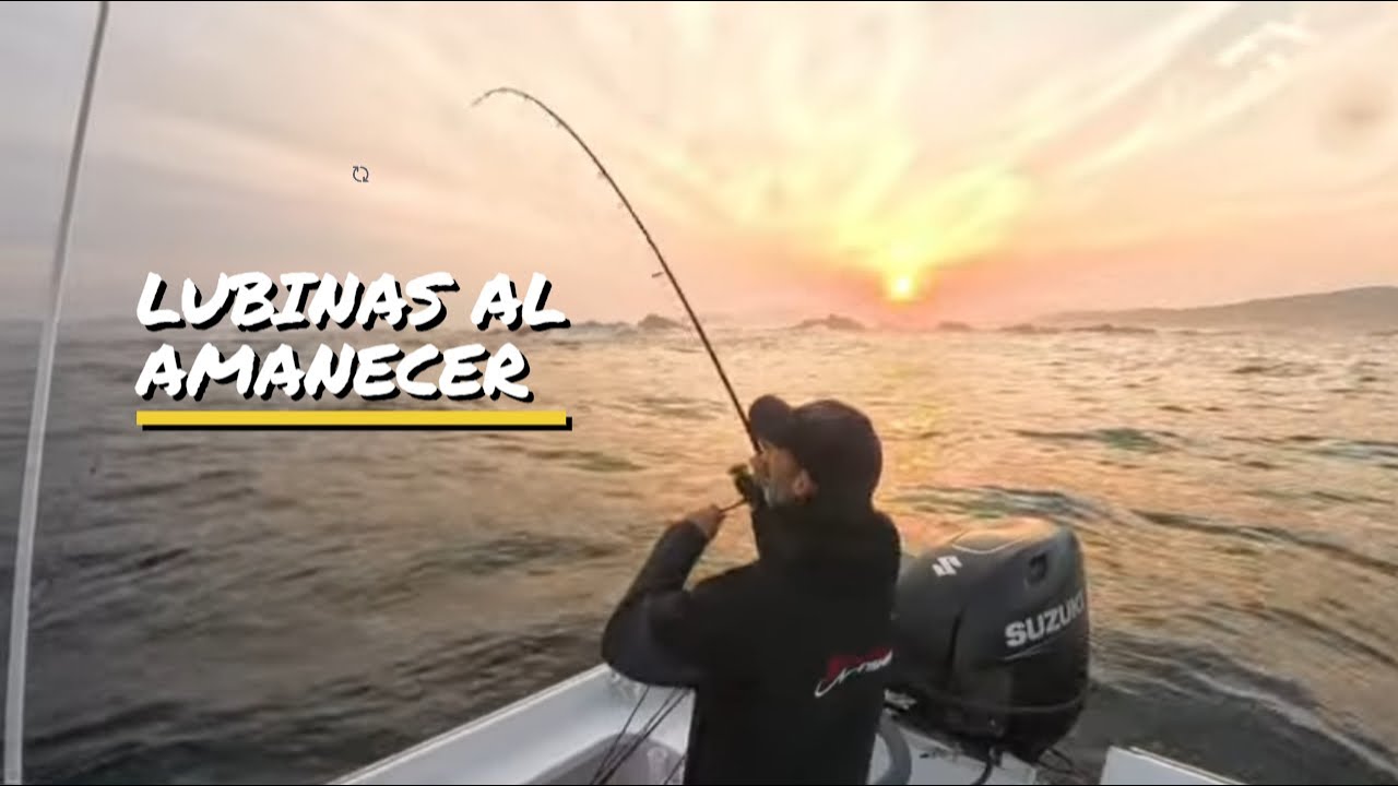 Magia gallega al amanecer 🌄 | Pesca de lubinas en rompiente