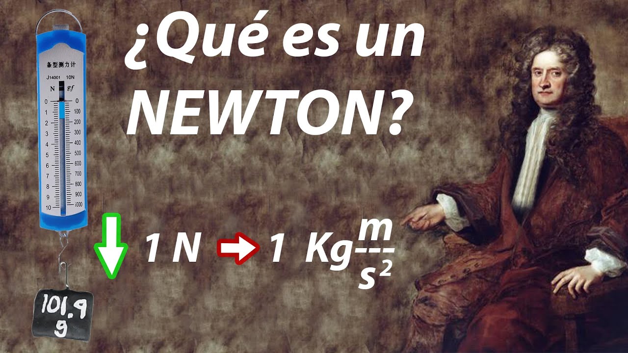 Que es un newton - Te&oacute;rica y pr&aacute;ctica.