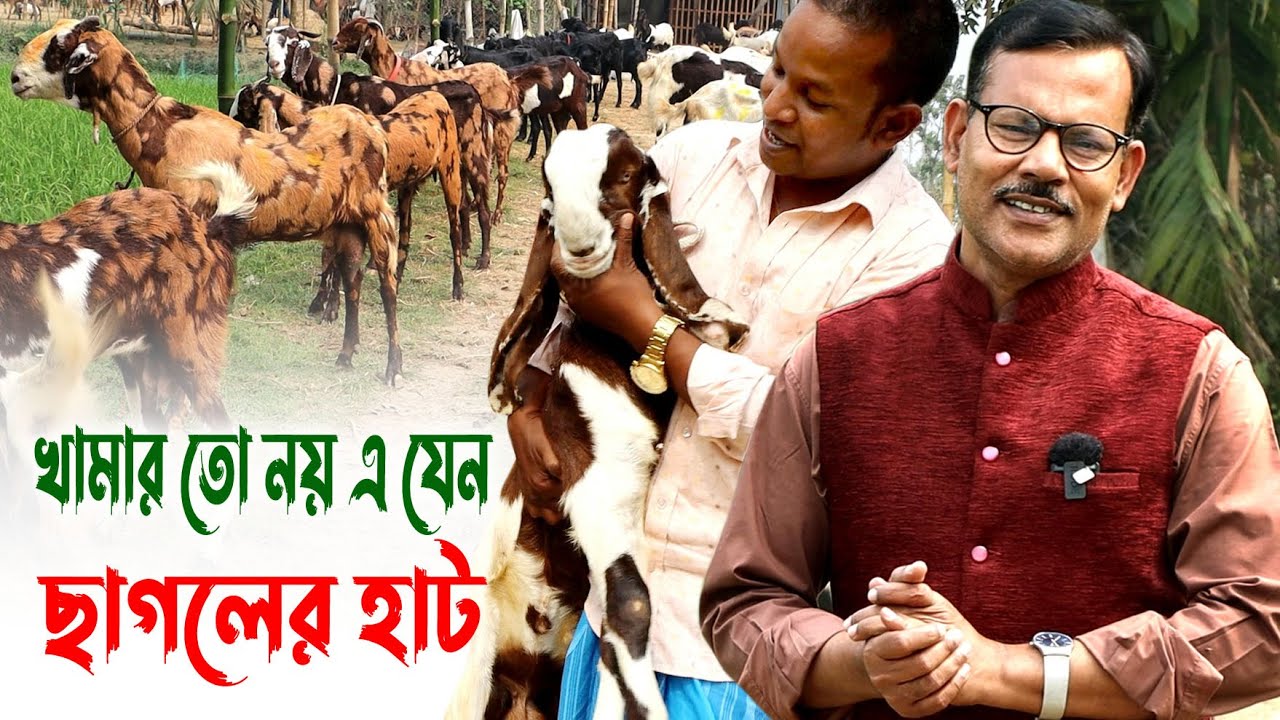 876-এবার দেখুন বিভিন্ন জাতের ছাগলের মেলা নাটোর-র.ই মানিক চিত্রপুরী R.I.Manik.Chitrapuri Krishichitra