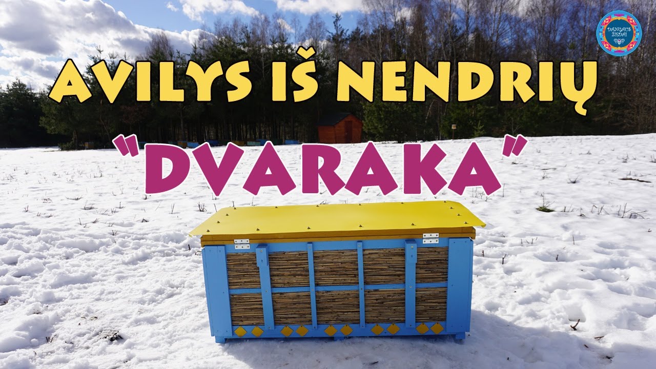 Avilys i&scaron; nendrių 