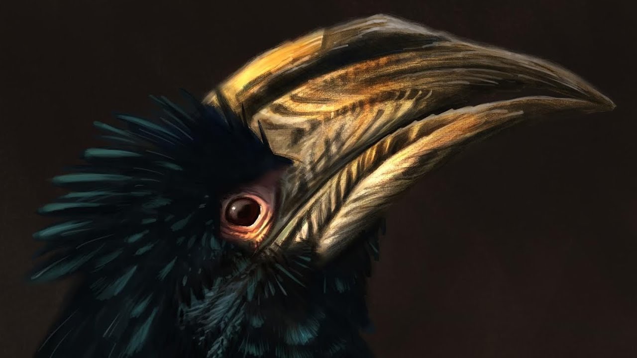 Live Stream - Drawing Birds