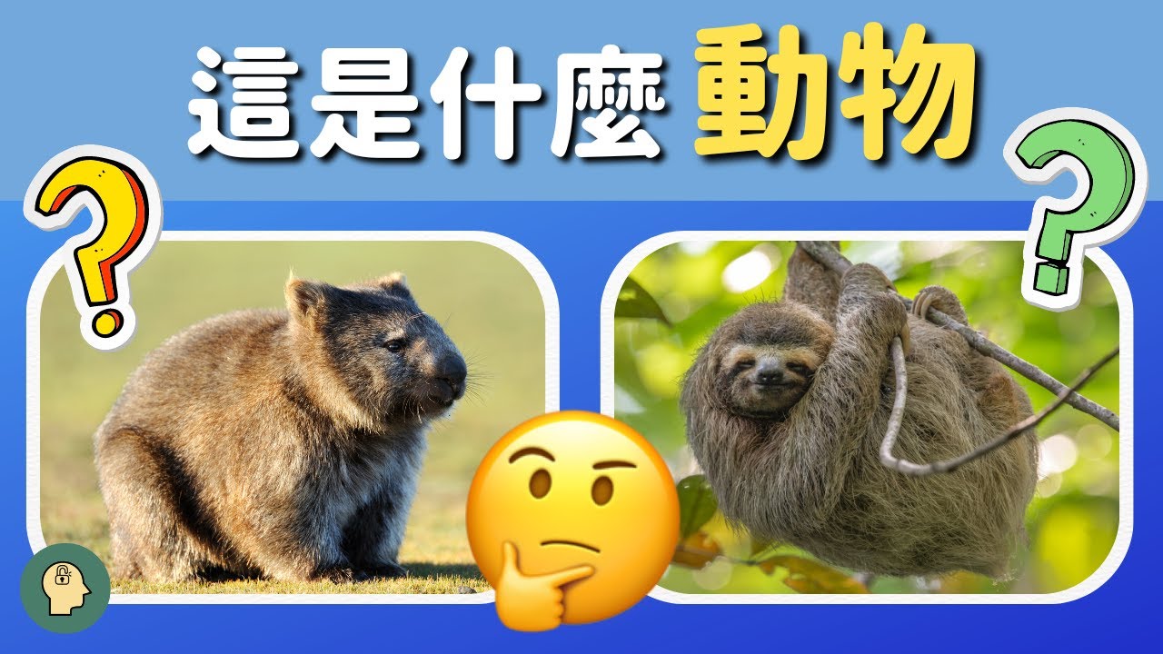 挑戰你的動物知識！猜一猜這是什麼動物🐾🕒