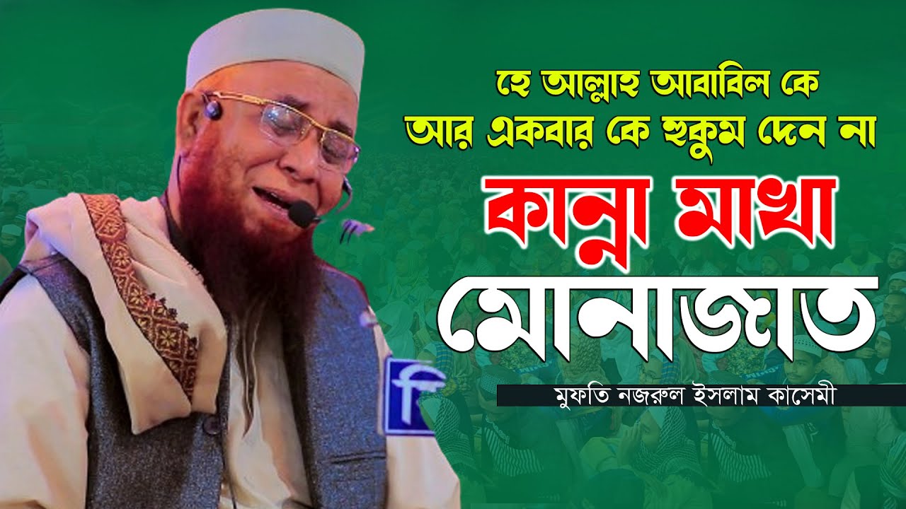 হে আল্লাহ আবাবিলকে আর একবার হুকুম দেন না  || মুফতি নজরুল ইসলাম কাসেমী !! Nazrul Islam kasemi waz