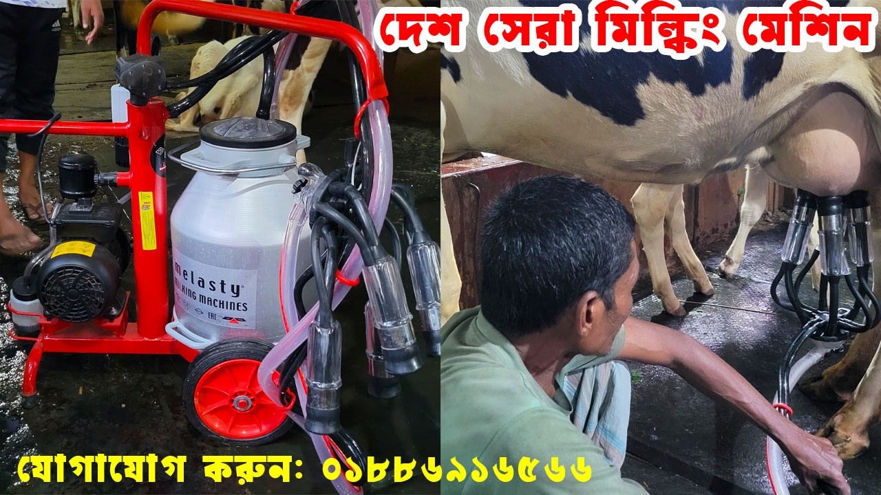 গরুর দুধ দোহন মেশিন |দেশসেরা দুধ দোহন মেশিন I  Cow milking machine price in Bangladesh I
