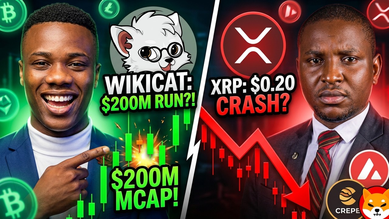 🚨 XRP DO 0,50 USD LUB NAWET 0,20 USD?! WIKICAT ROZPOCZĄŁ BIEG PO KAPITALIZACJĘ RYNKOWĄ DO 200 MLN...