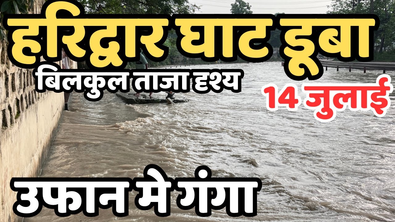हरिद्वार :डूबे घाट से बचे | अलाकंनंदा उफान मे, haridwar live  | Kawad yatra update | haridwar flood?
