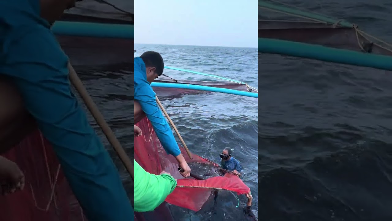 Catching bait fish in Maldives 
