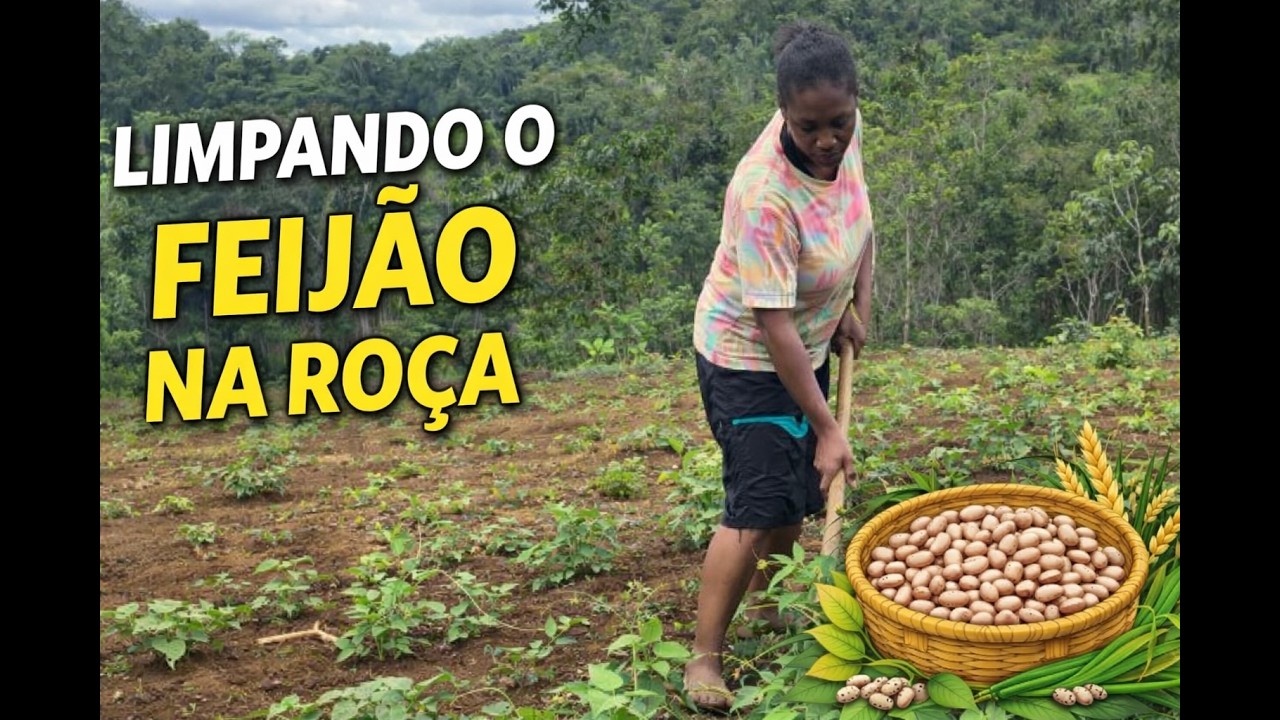 Cuidando do Que Restou do Nosso Feijão. 🌱