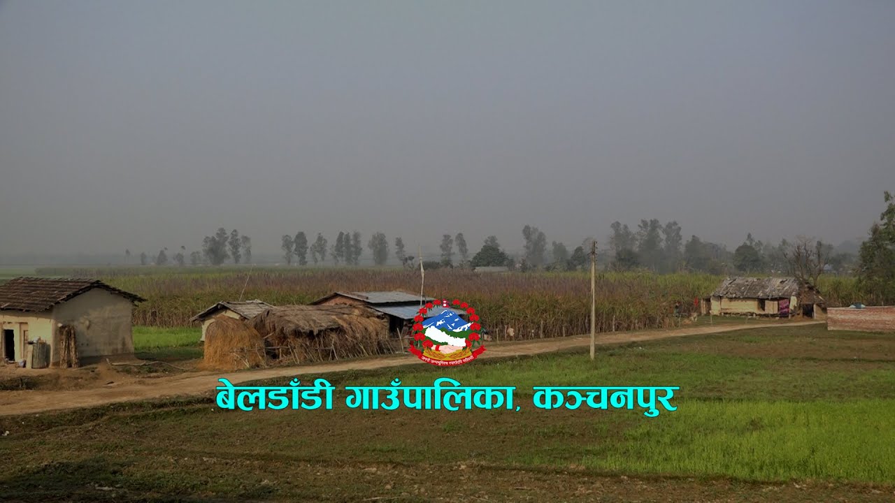 बेल्डाडी गाउँपालिका, कञ्चनपुर ।। Beldadi Rural Municipality Kanchanpur ।। Documentary । Border Nepal