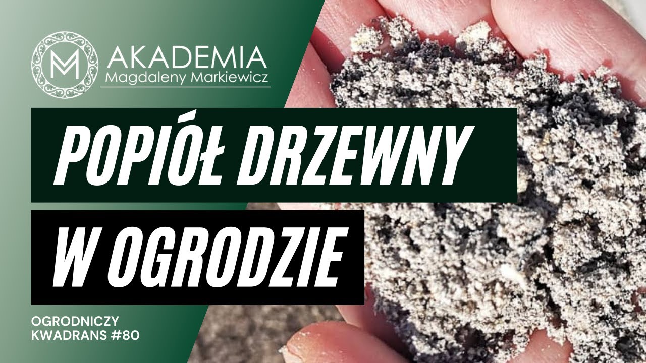 Ogrodniczy Kwadrans 80. Jak wykorzystać popiół drzewny w ogrodzie?
