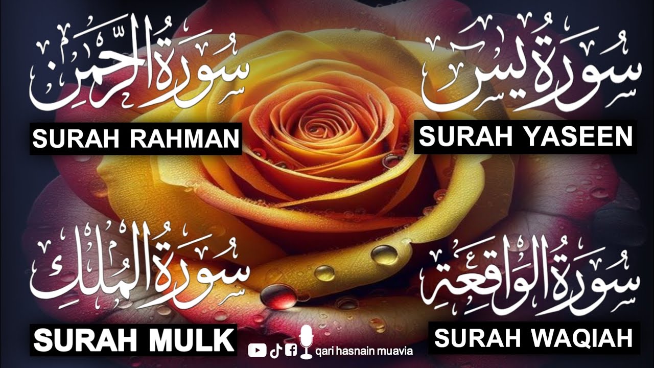 Surah Yasin ❤️ (Makki), Rahman, Waqiah & Mulk | Ep 274 | Daily Quran Recitation & Blessings