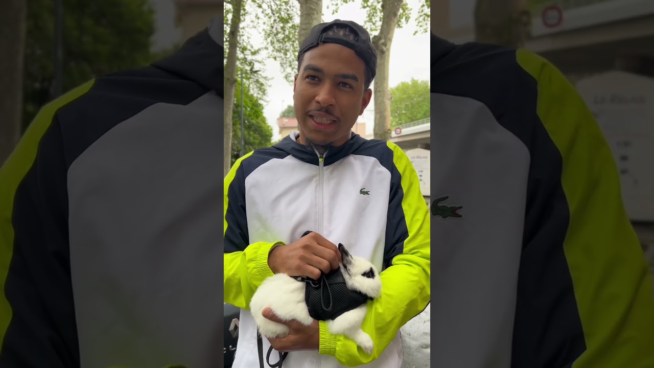 Le coup du Lapin! Partie 4